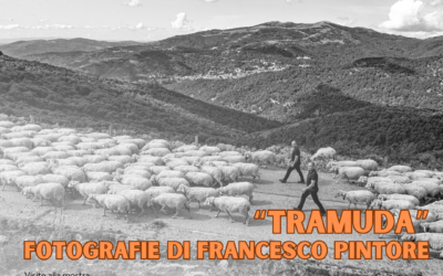 Tràmuda. Fotografie di FRANCESCO PINTORE a Gavoi